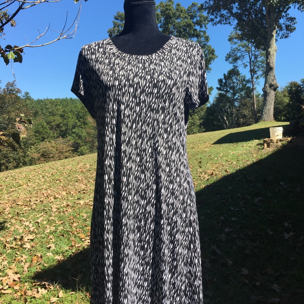 Easywear by Chico’s a-line dress